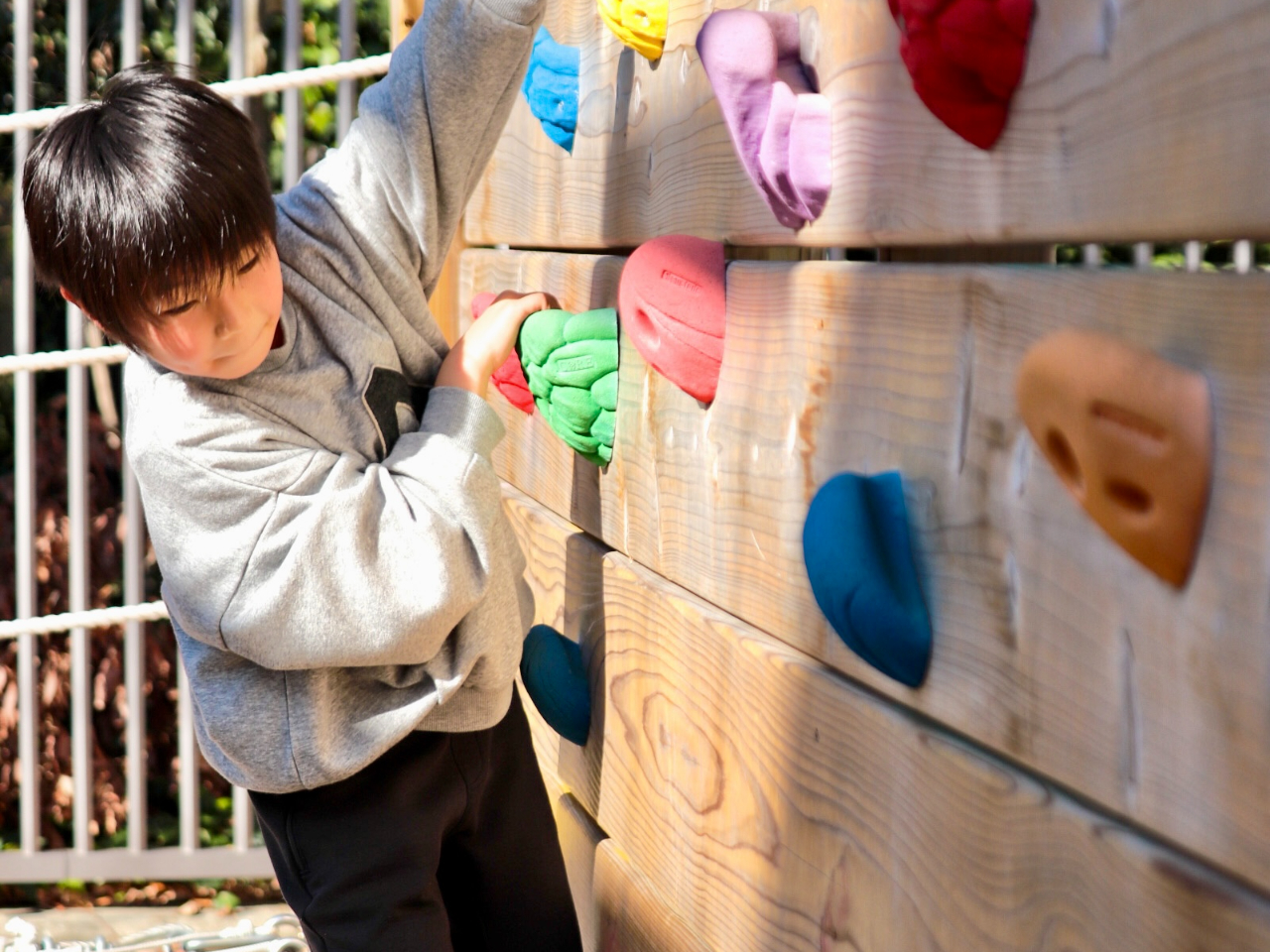 4΁`30kg܂ł̃R[XIǂi߂΂̂lȂVׂI