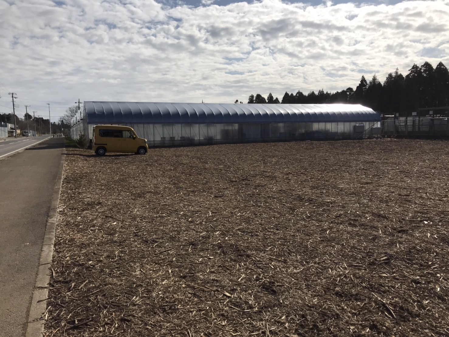 ԏ̓Ebh`bv~l߂Ă̂ŁAJłԂɂȂĂ܂B