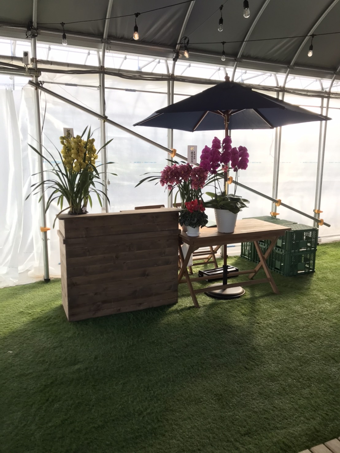 ̍ۂɂ͎tɂĎ葱ς܂ByYp̂̔Ă܂B