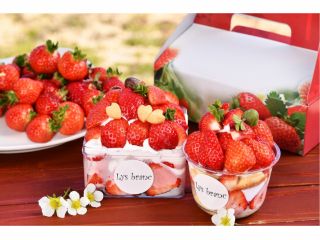 いちご狩り(あまおう)とパティシエ監修極上生クリームでスイーツ作り!4日間限定のプランです♪