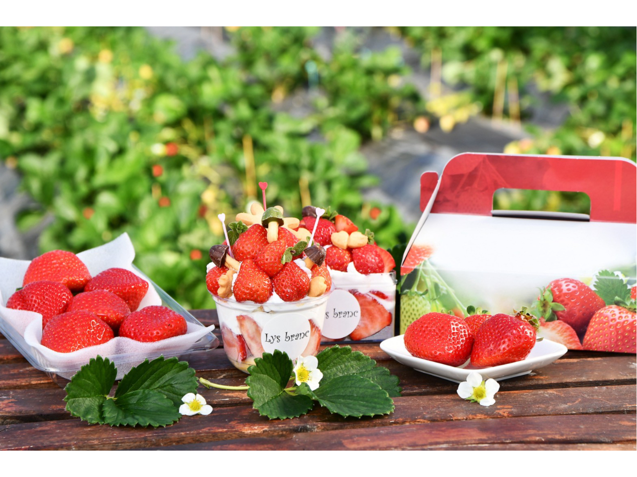 �����ȃP�[�L���v������������̃v�����ł͎l�p���P�[�L���Q�l�łP����肢�������܂���