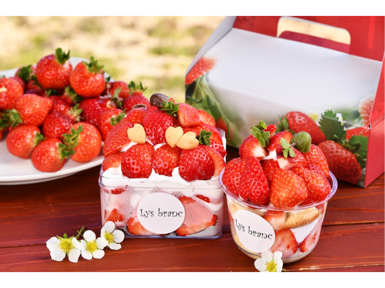 ���������(���܂���)�ƃp�e�B�V�G�ďC�ɏ㐶�N���[���ŃX�C�[�c���I4���Ԍ���̃v�����ł���