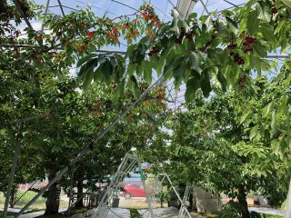 玉原・迦葉山の麓にある、緑・山・綺麗な川に囲まれ、美味しい空気に溢れた場所です☆