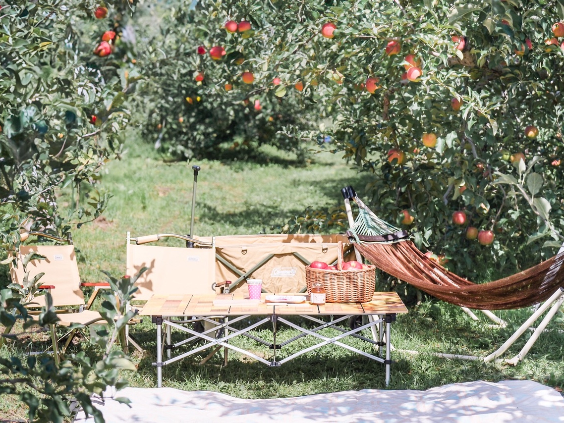 __ 񂲎{sNjbNZbgꎮ^t 2ԃv ^^