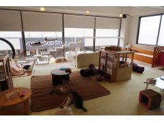 国分寺駅周辺の動物カフェランキングtop2 じゃらんnet 国分寺駅周辺の動物カフェランキングtop2 じゃらんnet