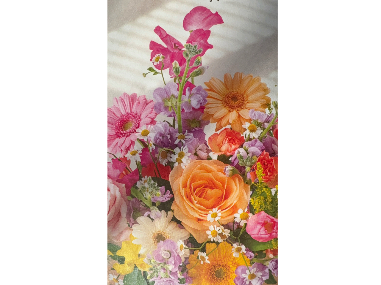 1��28���͏t�炵���F�����̃u�[�P�B