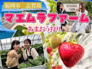 高設施設で立ったまま収穫してお楽しみいただけます。