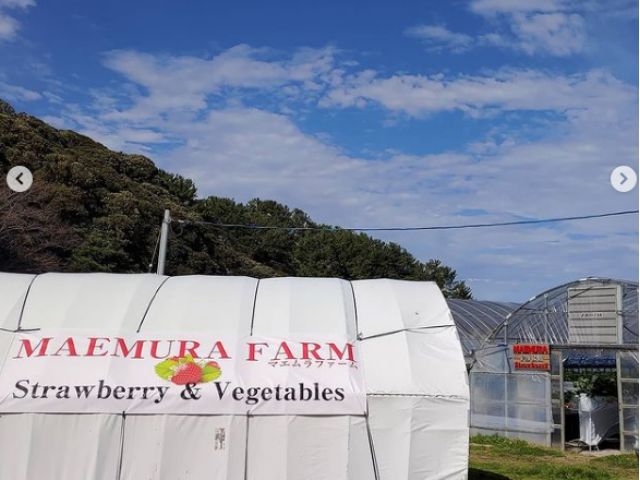 志賀島の自然を感じながらいちご狩りが出来ます♪