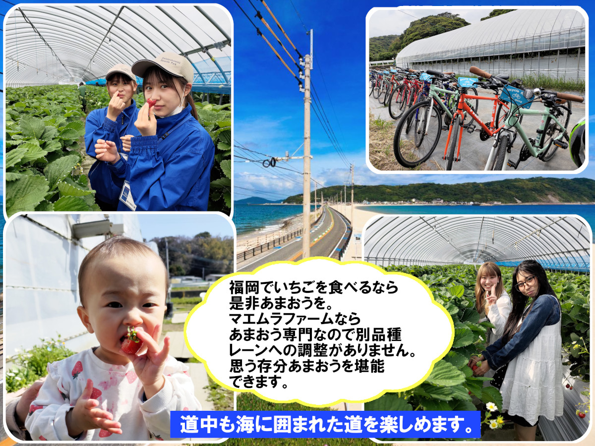 ܂͕ł̂ݐYłuhiłBhhȂł͂̂܂𐥔񂲊\B