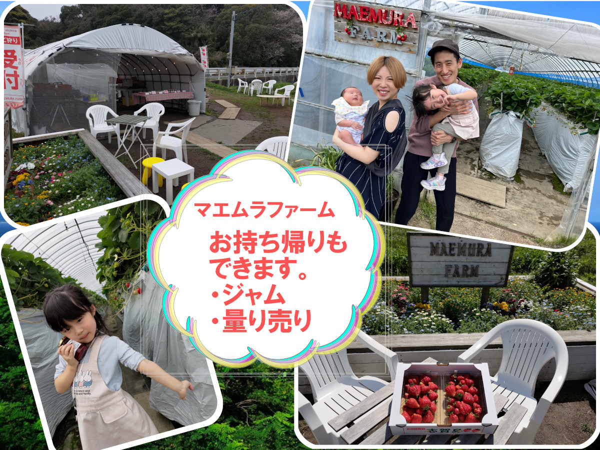 じゃらんのお得な10日間】【あまおう狩り】【いちご狩り＊40分食べ放題