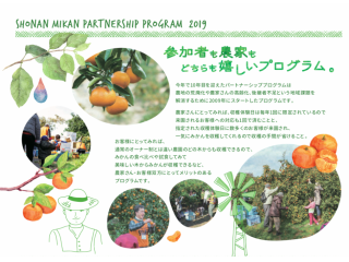 みかん収穫体験 湘南みかんの木パートナーシップ プログラム 12月5日 土 井上農園 湘南みかんの木パートナーシッププログラム じゃらん遊び体験