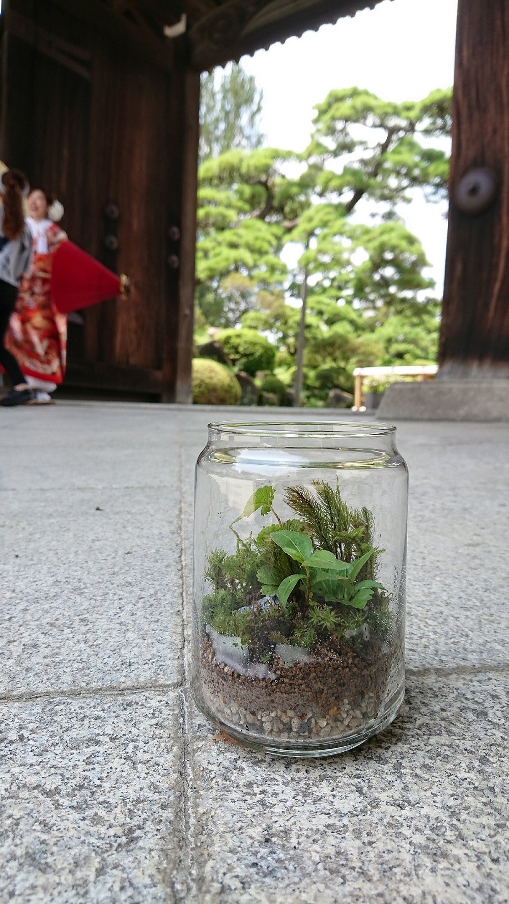 苔テラリウム 金曜日 自分たちだけの世界観を表現しよう ファミリー 女性におすすめ ラディアンス じゃらん遊び体験