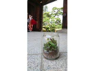苔テラリウム 日曜日 自分たちだけの世界観を表現しよう ファミリー 女性におすすめ ラディアンス じゃらん遊び体験