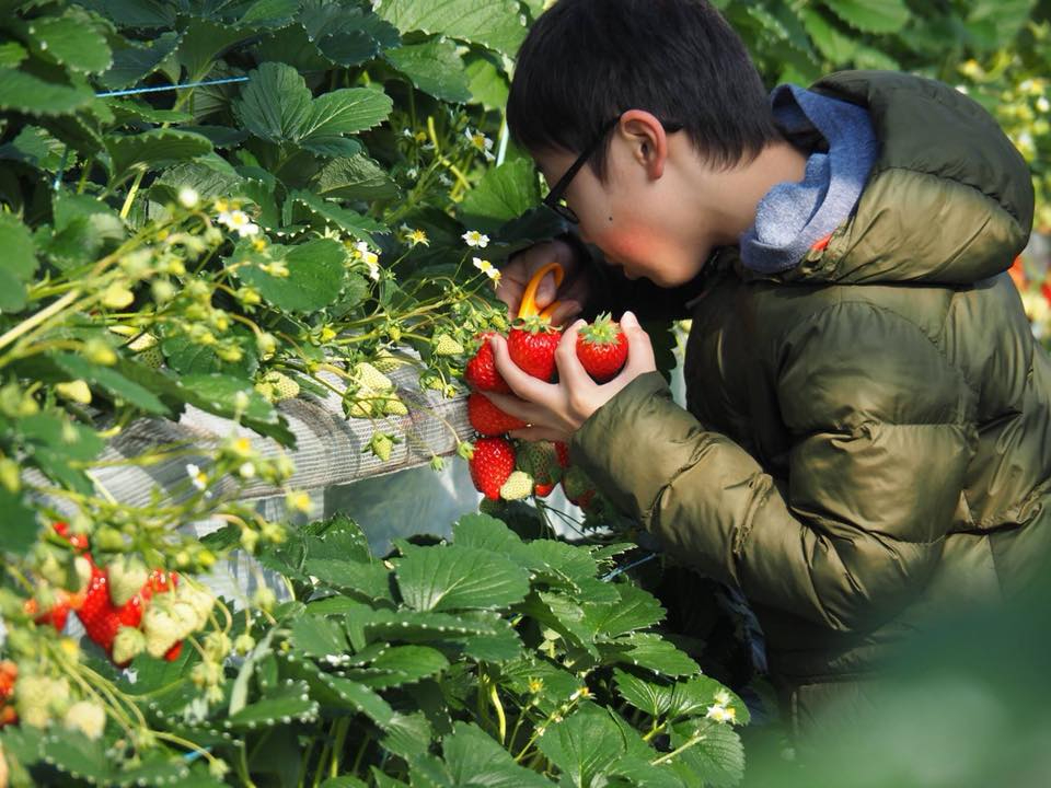 uvł͂ȂAuE݁vƌĂт܂