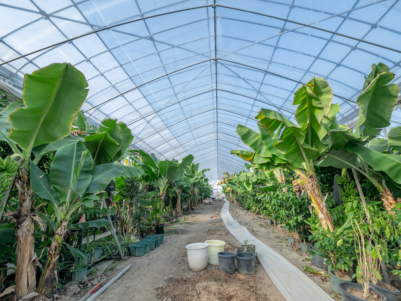 �w�o�i�i���čŏ��͐��񂾂ˁI�x���q�l�̐H��ɂ��҂�����̎��n�̌��B