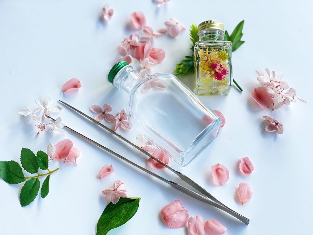 �n�[�o���E�����X�@���E�G���K���g�t�����[�̎ʐ^2