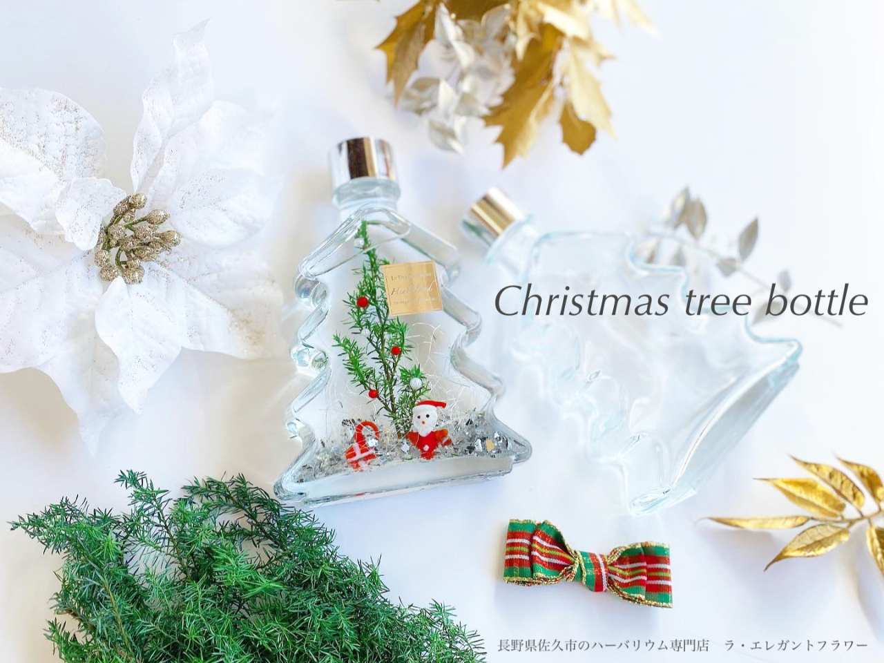 �n�[�o���E�����X�@���E�G���K���g�t�����[�̎ʐ^4