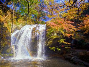 月待の滝 当園から歩いてすぐです♪
