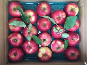 お土産にいかがですか?