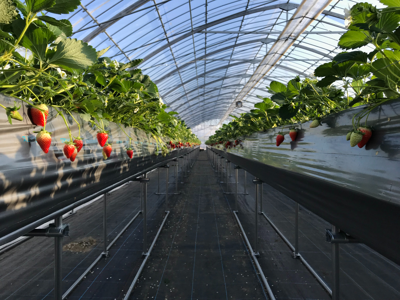 ݃x`Ȃ̂łႪ܂ȂĂ肪y߂܂I