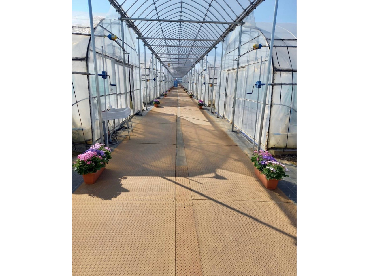 ł́Ao邾ȂlɐĂ邽߁AJ̓łyyݒ܂ ԏꂩ炷ł