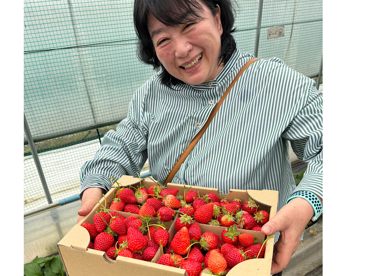 道の駅でいちご狩り♪