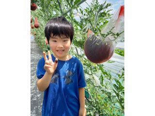 夏休み スイカ狩り体験してみませんか??