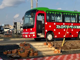 下館駅からストロベリーランド往復バスLINEID @481lbcqt から送迎の受付してください。