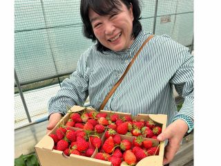道の駅でいちご狩り♪