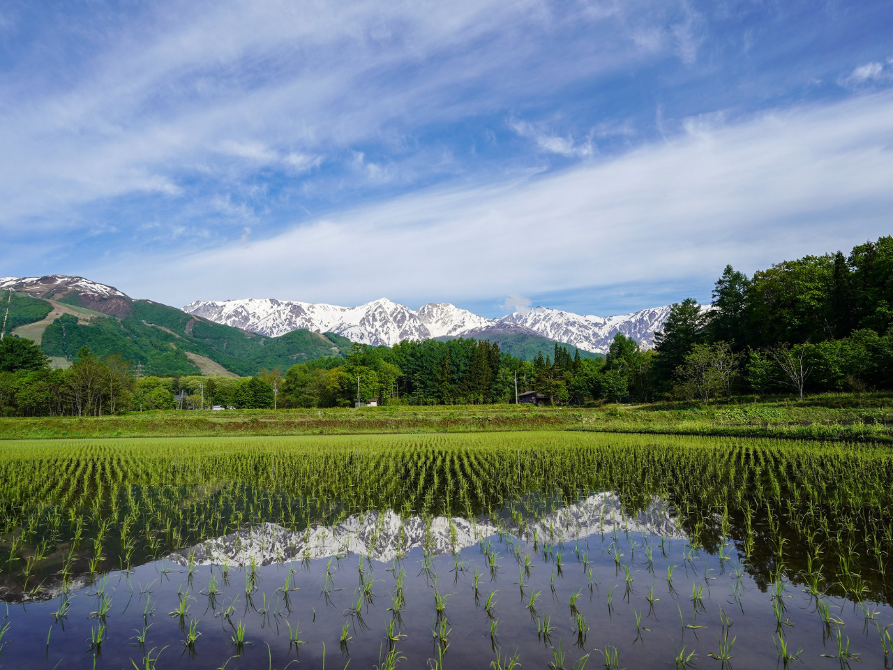 水鏡に映る、白馬の山と田植えの風景は、グリーンシーズンだけの特別な絶景。