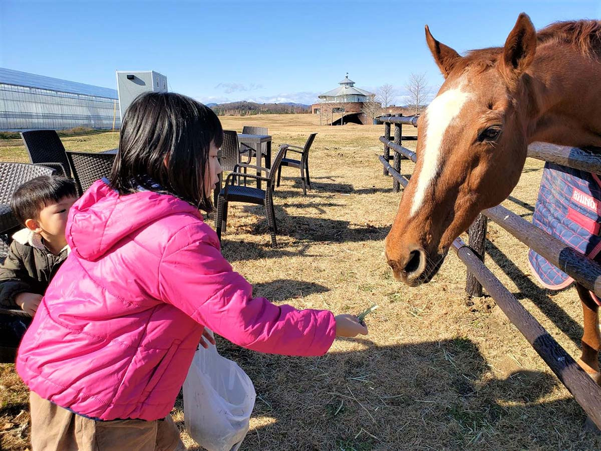 ӂꂠLłnɃGŤ͂ł傤