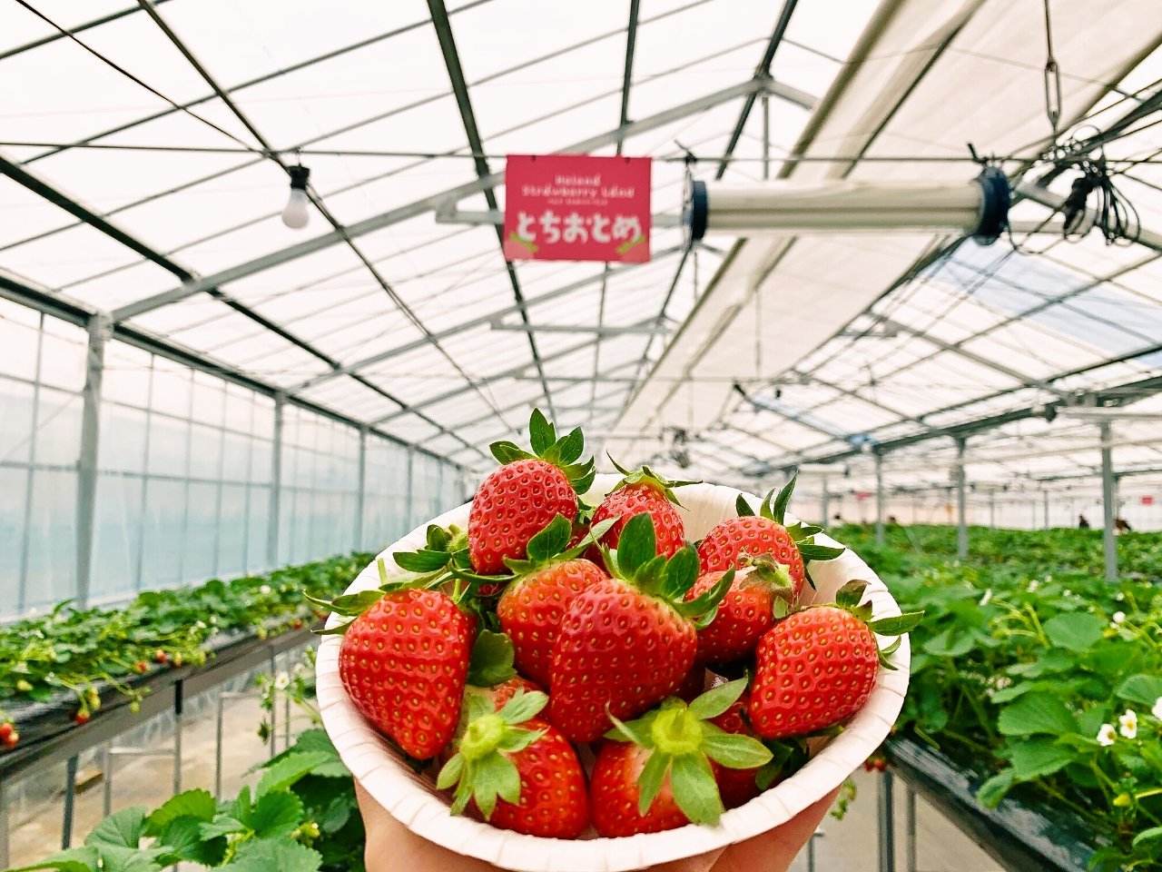 yE킫zÂ݂Ղ̎vo̕ɁIȓkły݂܂傤II