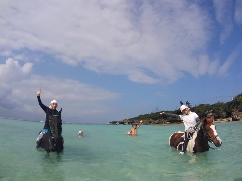 真夏にはお馬さんと一緒に海水浴ができます♪海まで行くのは一日コース夏季限定です♪