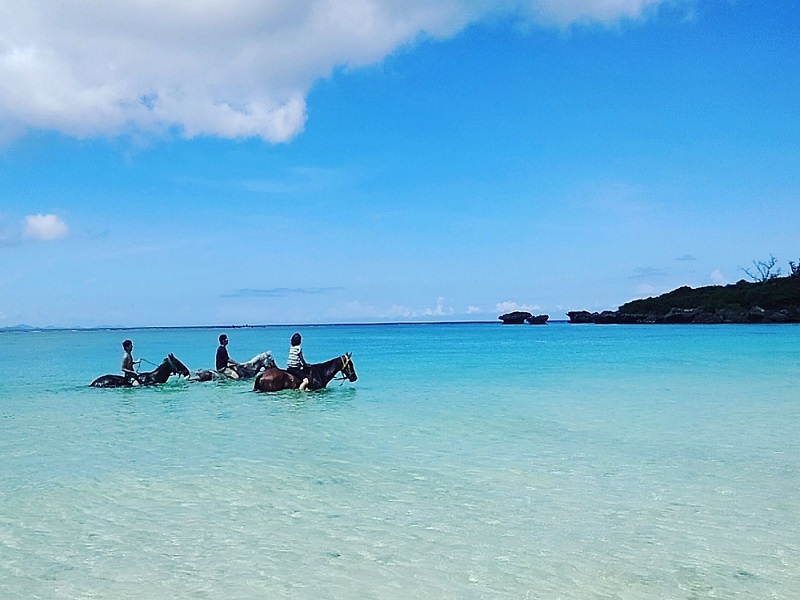 沖縄の青い海と空の中のトレッキングは真夏の沖縄ならではです♪海まで行くのは一日コース夏季限定です♪