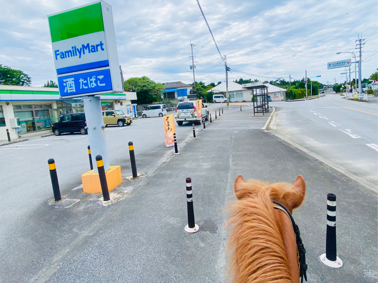 一日コースの通り道。馬でコンビニへ!