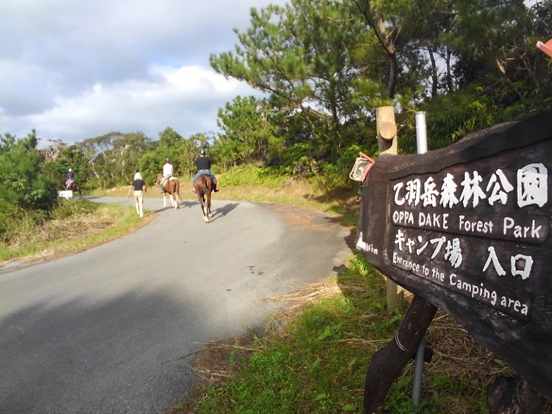 ミドルコース限定 乙羽岳展望台コースは気持ち良い〜♪
