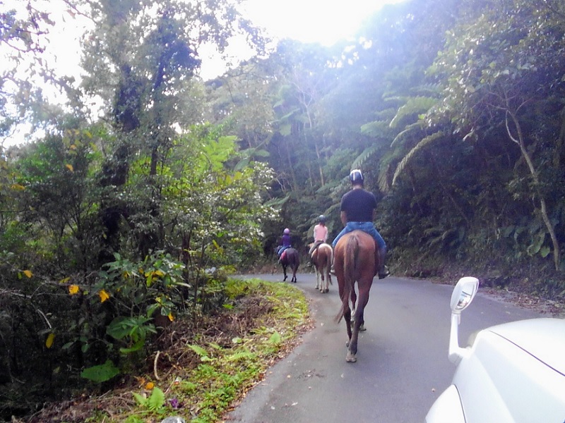 伴走車が後ろからついているので疲れたら休憩しましょう〜