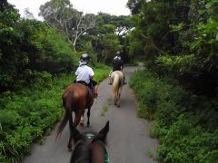 ご家族みんなでの乗馬は旅の思い出になりますよ♪
