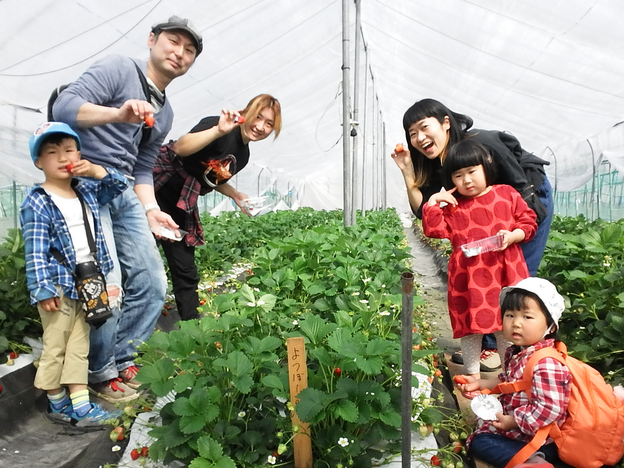 【岐阜・中津川】≪2026/4/6~5/6≫〈30分間いちご・ミニトマト多品種食...