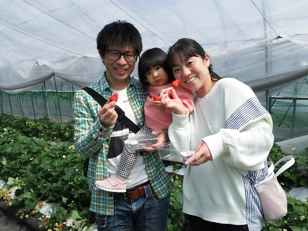 【岐阜・中津川】≪2026/5/7~5/31≫〈30分間いちご多品種食べ比べ〉写...