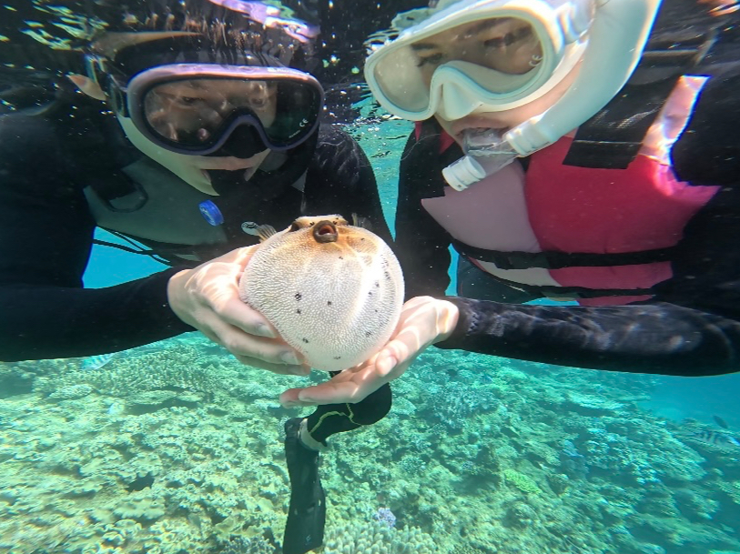 コクテンフグちゃん(*^▽^*)素敵な写真!