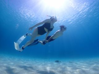 陸でも水中でも、2人の息はピッタリ★