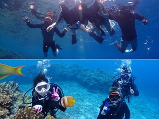 瀬底島シュノーケリング・水納島ダイビング