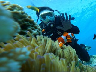 水中からカクレクマノミと一緒に撮った写真!凄く綺麗!!