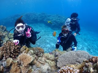 水納島の綺麗な珊瑚やカラフルなお魚と記念写真!