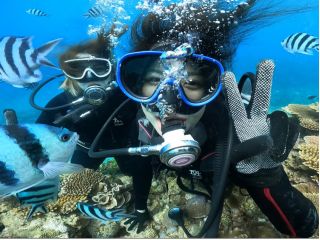 ダイビングを楽しんでる風景の写真です。