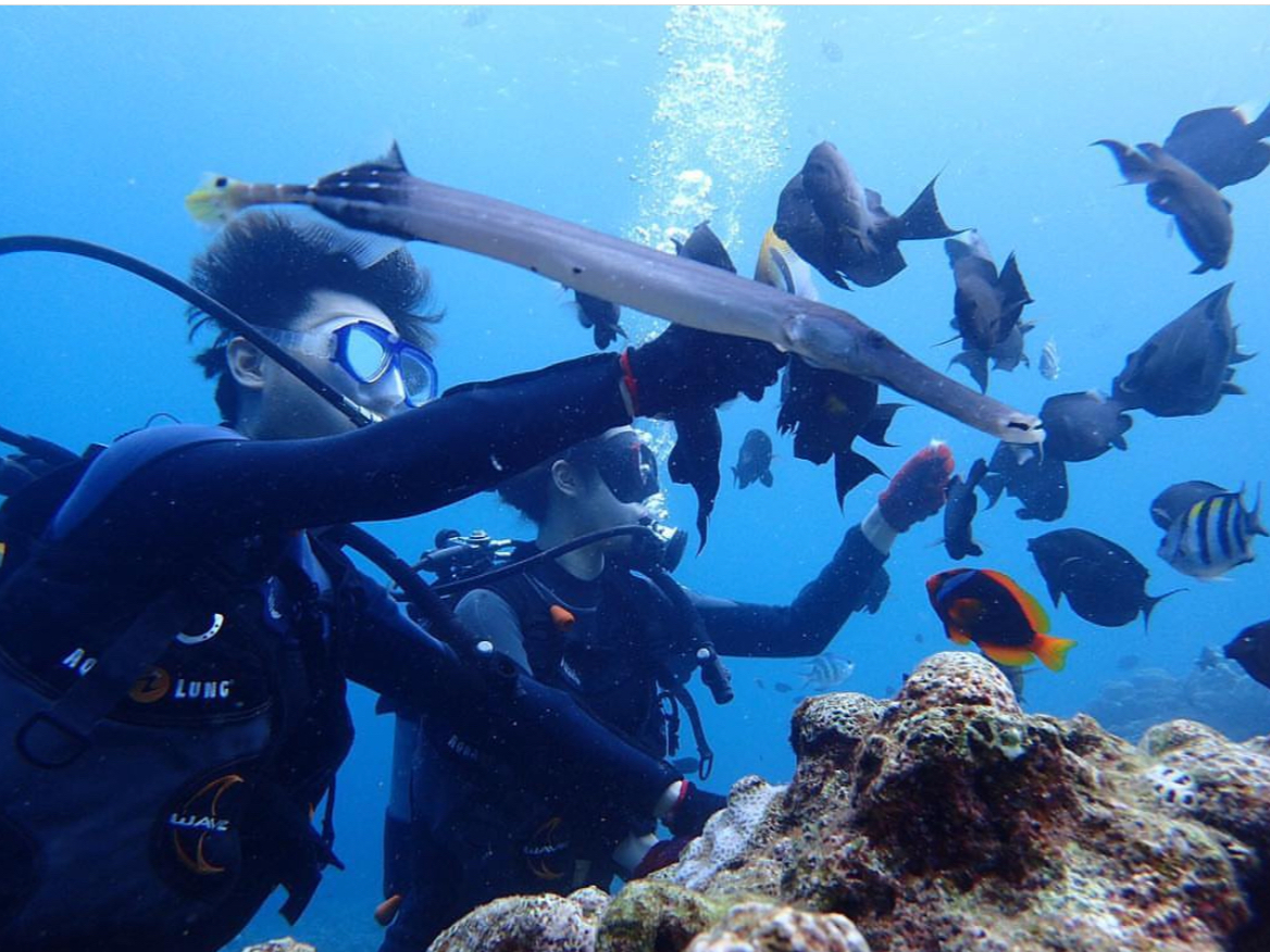 ��R�̂�������ƈꏏ�Ɏʐ^��