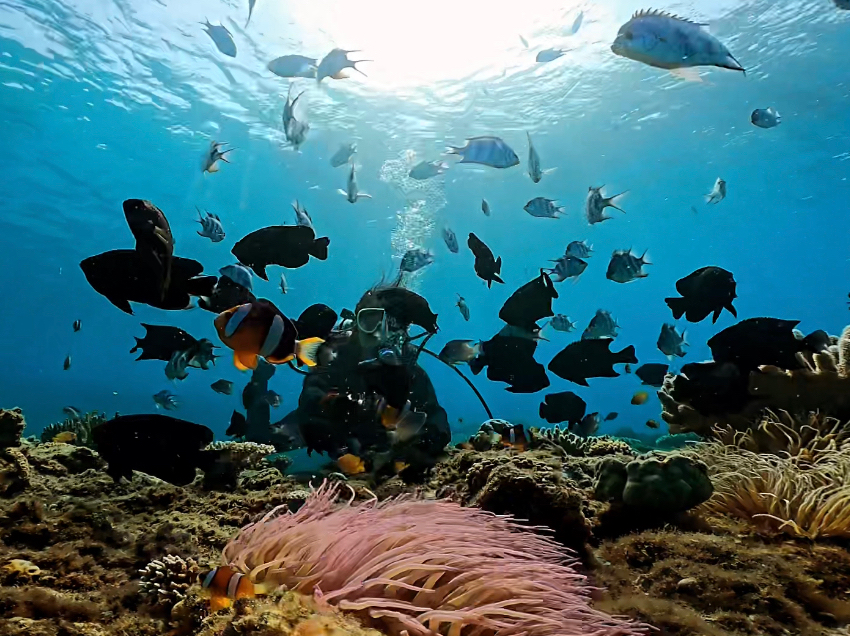 �����Ɉ͂܂�čK��(^�x^)-��