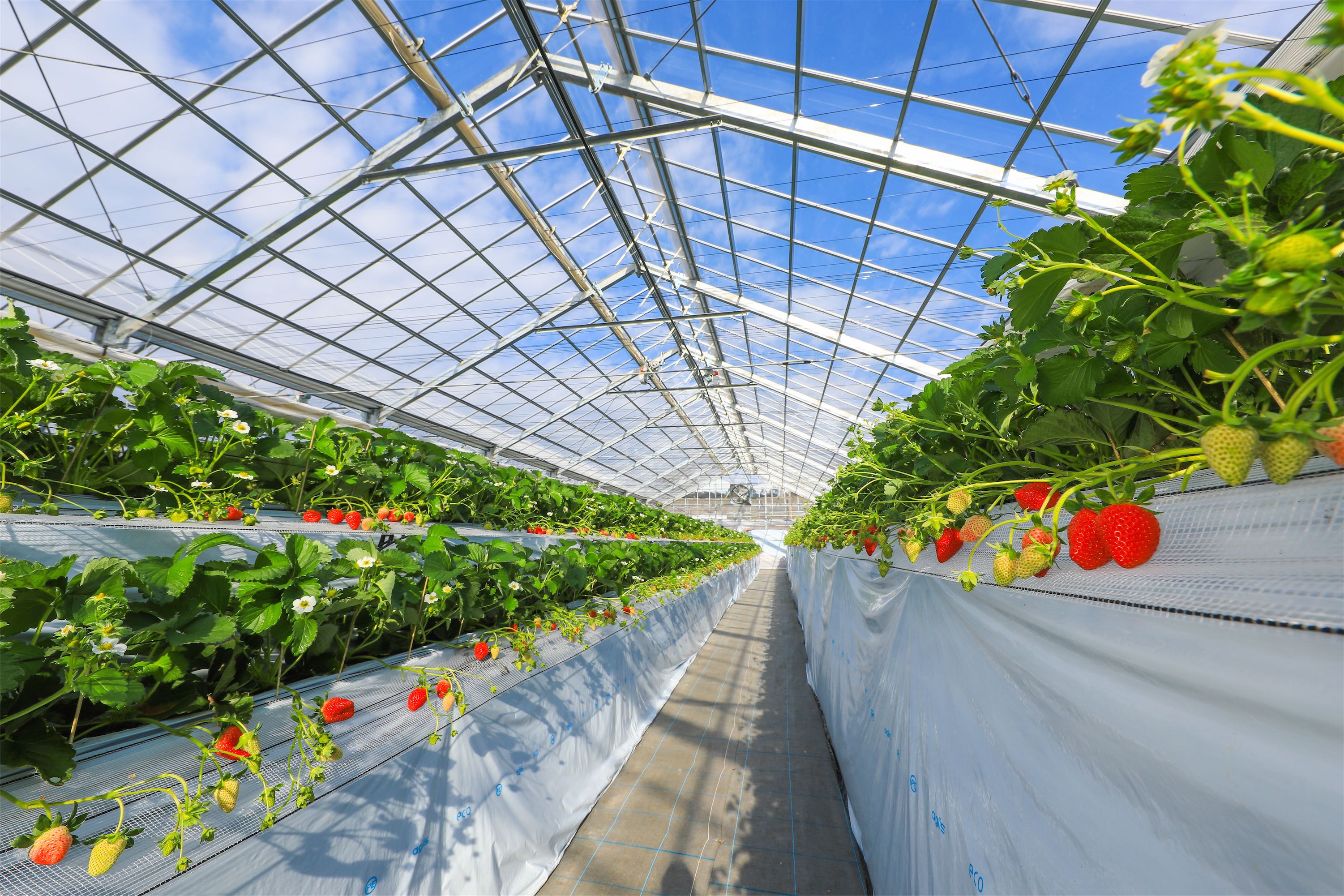 qǂłn₷2ix`Bq܂ûā[vƂ܂邱Ƃ܂BŎn͊iʂ̖łB