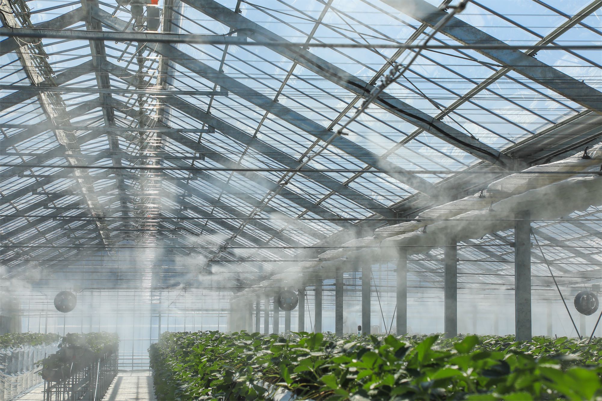 ~Xg𗘗pxRg[邱ƂŊÂC`SĂ܂B